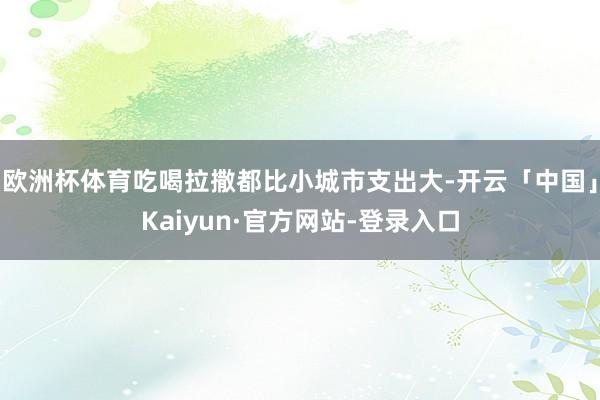 欧洲杯体育吃喝拉撒都比小城市支出大-开云「中国」Kaiyun·官方网站-登录入口