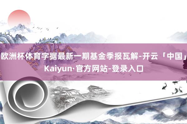 欧洲杯体育字据最新一期基金季报瓦解-开云「中国」Kaiyun·官方网站-登录入口