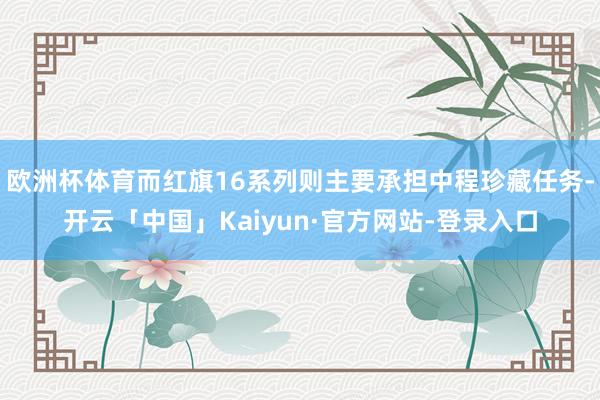 欧洲杯体育而红旗16系列则主要承担中程珍藏任务-开云「中国」Kaiyun·官方网站-登录入口