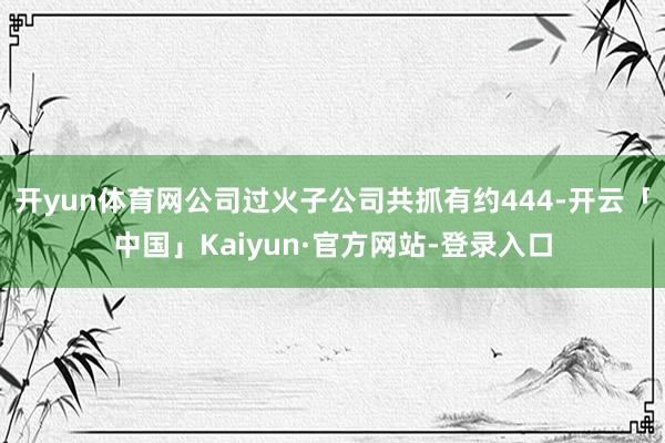 开yun体育网公司过火子公司共抓有约444-开云「中国」Kaiyun·官方网站-登录入口