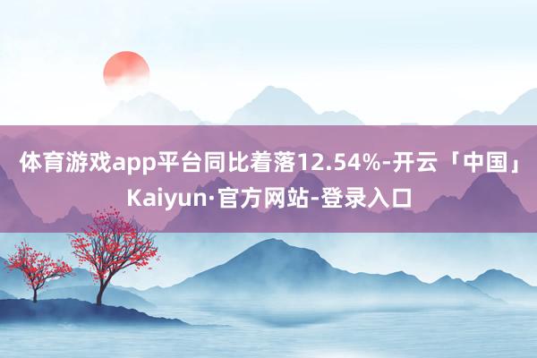 体育游戏app平台同比着落12.54%-开云「中国」Kaiyun·官方网站-登录入口