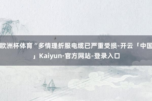 欧洲杯体育“多情理折服电缆已严重受损-开云「中国」Kaiyun·官方网站-登录入口