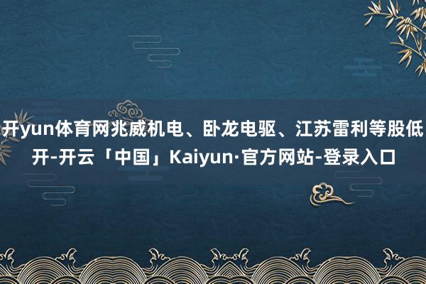 开yun体育网兆威机电、卧龙电驱、江苏雷利等股低开-开云「中国」Kaiyun·官方网站-登录入口