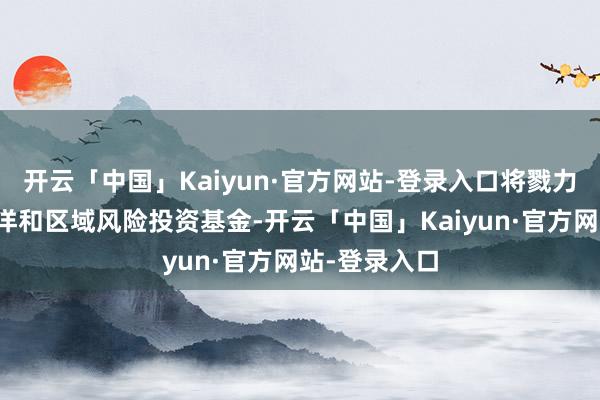 开云「中国」Kaiyun·官方网站-登录入口将戮力于于投资外洋和区域风险投资基金-开云「中国」Kaiyun·官方网站-登录入口