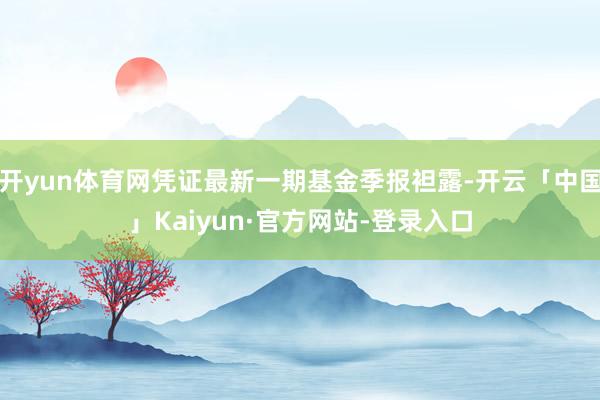 开yun体育网凭证最新一期基金季报袒露-开云「中国」Kaiyun·官方网站-登录入口