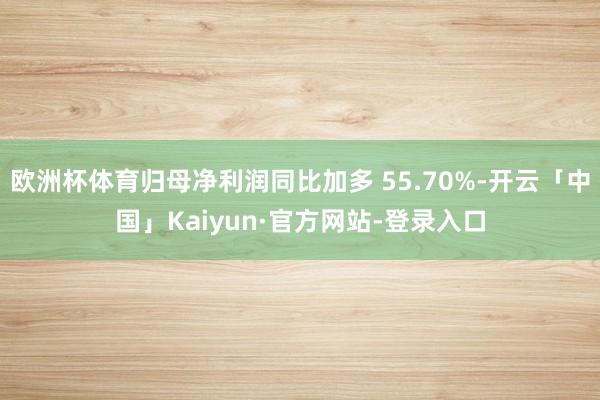 欧洲杯体育归母净利润同比加多 55.70%-开云「中国」Kaiyun·官方网站-登录入口