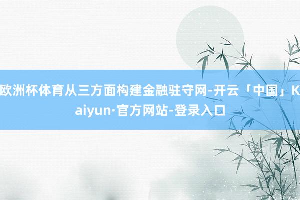 欧洲杯体育从三方面构建金融驻守网-开云「中国」Kaiyun·官方网站-登录入口