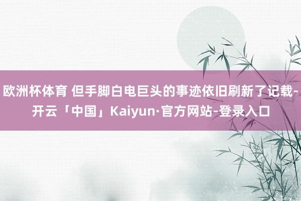 欧洲杯体育 但手脚白电巨头的事迹依旧刷新了记载-开云「中国」Kaiyun·官方网站-登录入口