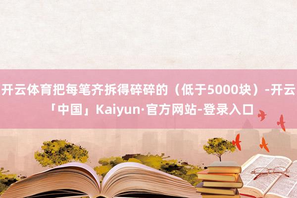 开云体育把每笔齐拆得碎碎的（低于5000块）-开云「中国」Kaiyun·官方网站-登录入口