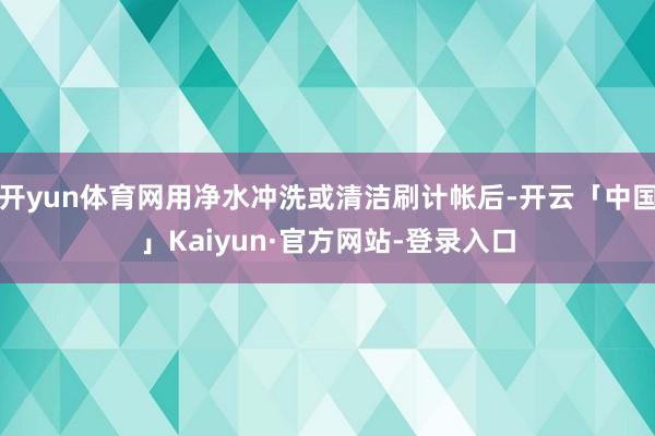 开yun体育网用净水冲洗或清洁刷计帐后-开云「中国」Kaiyun·官方网站-登录入口