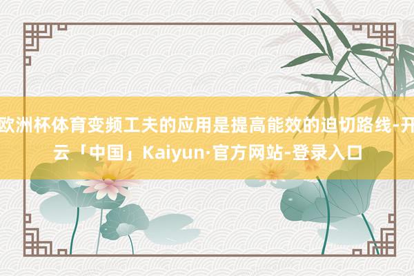 欧洲杯体育变频工夫的应用是提高能效的迫切路线-开云「中国」Kaiyun·官方网站-登录入口
