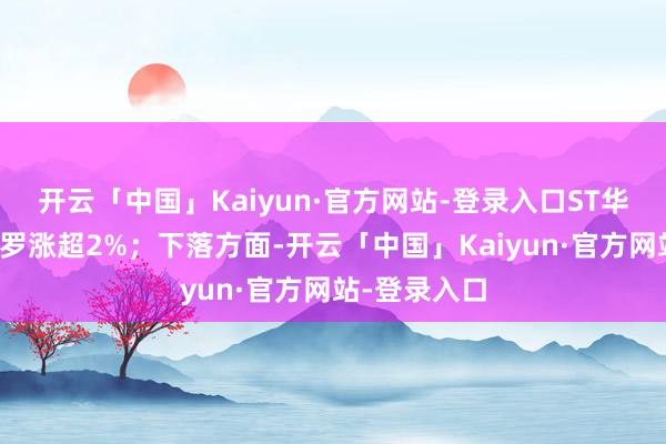 开云「中国」Kaiyun·官方网站-登录入口ST华通、恺英网罗涨超2%；下落方面-开云「中国」Kaiyun·官方网站-登录入口
