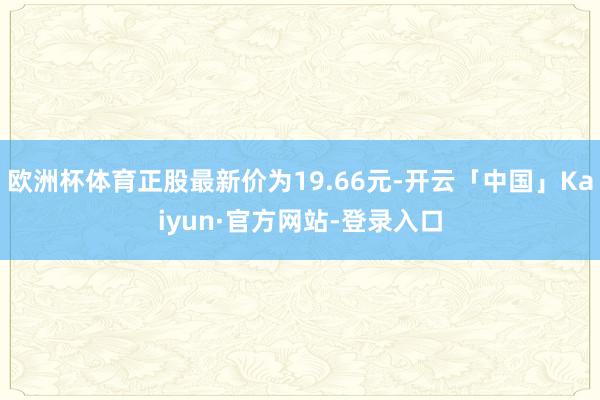 欧洲杯体育正股最新价为19.66元-开云「中国」Kaiyun·官方网站-登录入口