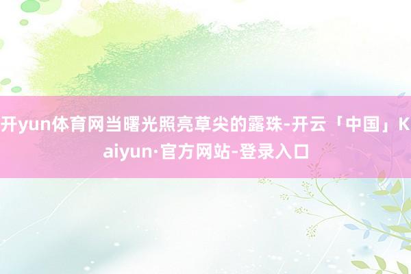 开yun体育网当曙光照亮草尖的露珠-开云「中国」Kaiyun·官方网站-登录入口