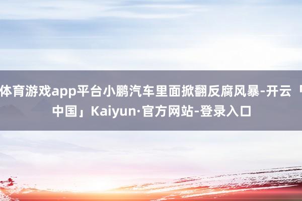 体育游戏app平台小鹏汽车里面掀翻反腐风暴-开云「中国」Kaiyun·官方网站-登录入口
