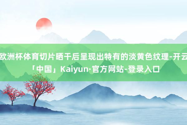 欧洲杯体育切片晒干后呈现出特有的淡黄色纹理-开云「中国」Kaiyun·官方网站-登录入口