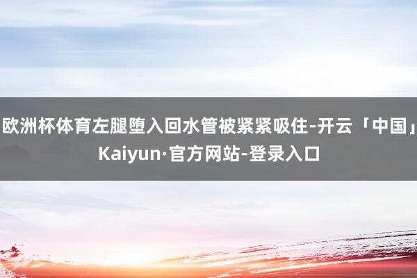 欧洲杯体育左腿堕入回水管被紧紧吸住-开云「中国」Kaiyun·官方网站-登录入口
