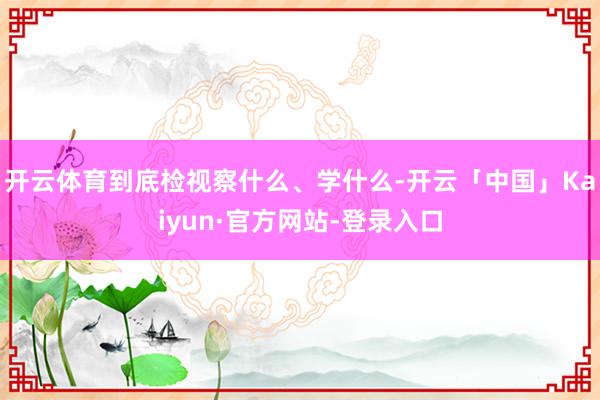 开云体育到底检视察什么、学什么-开云「中国」Kaiyun·官方网站-登录入口
