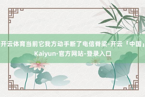开云体育当前它我方动手断了电信脊梁-开云「中国」Kaiyun·官方网站-登录入口